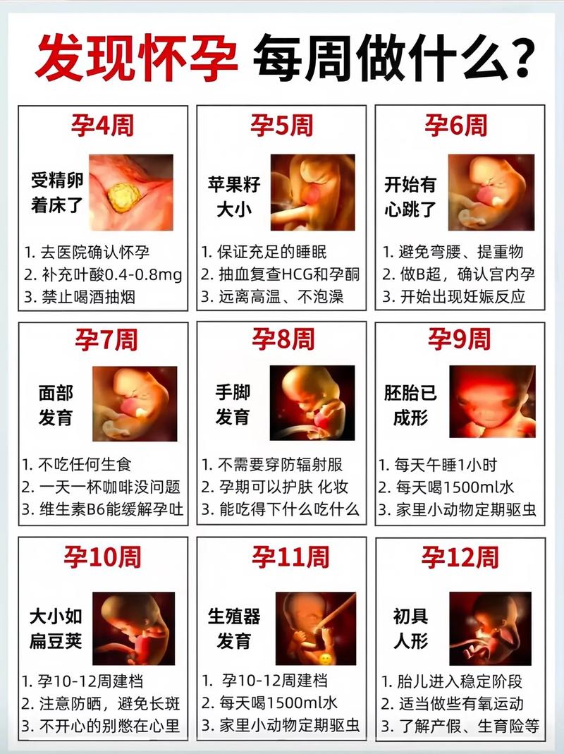 坐胎成功率