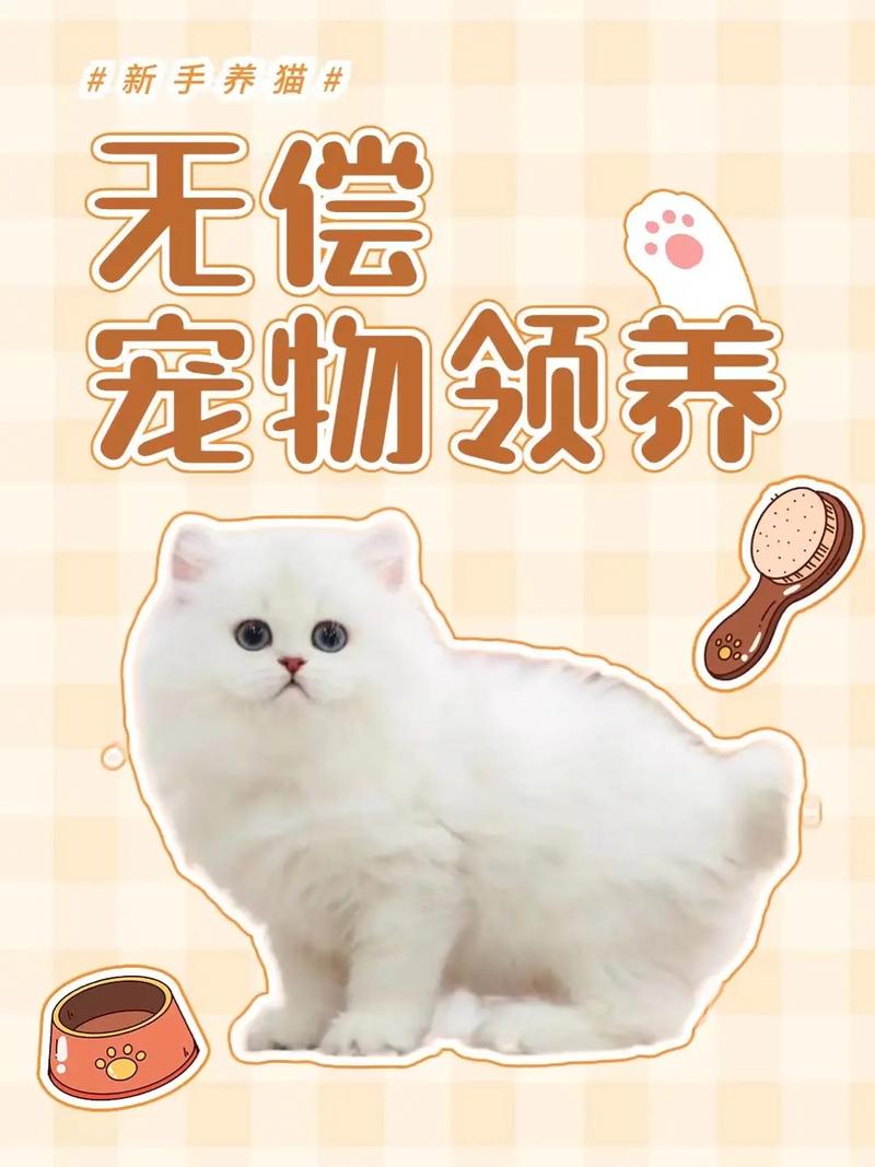  领养