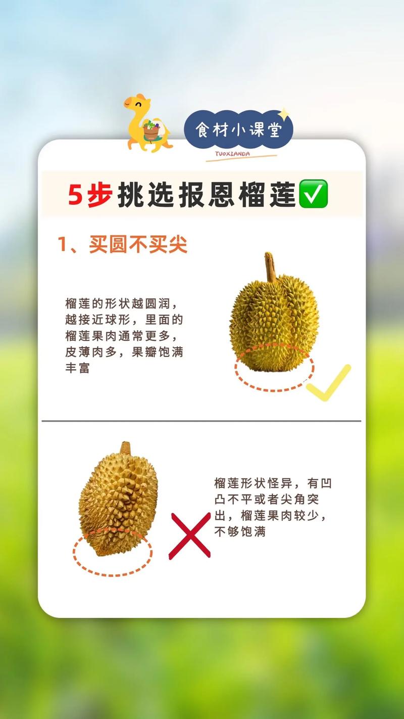 挑选技巧
