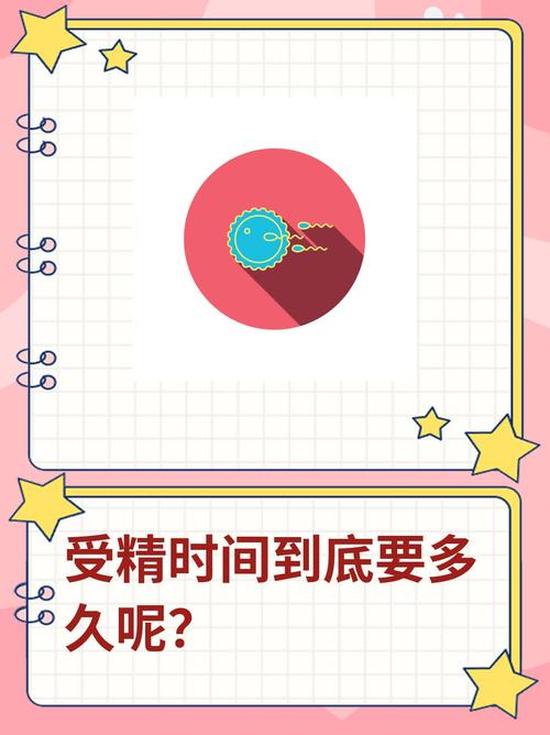 受精时间