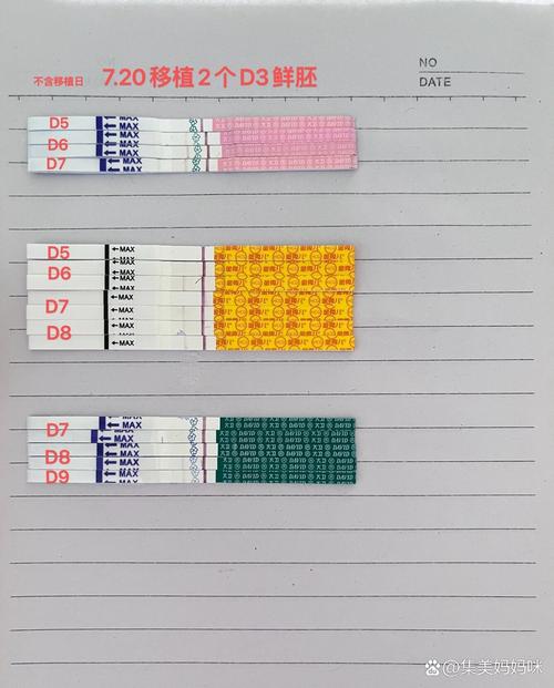 移植鲜胎