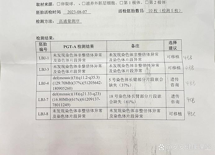 试管染色体检查