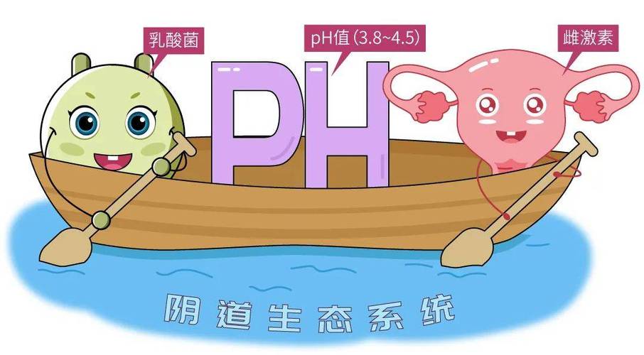 阴道生态