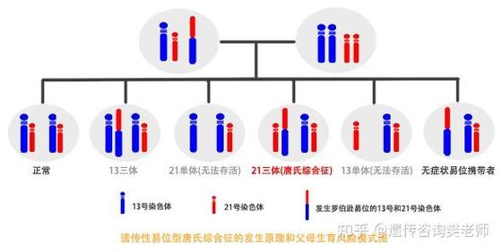 罗氏易位