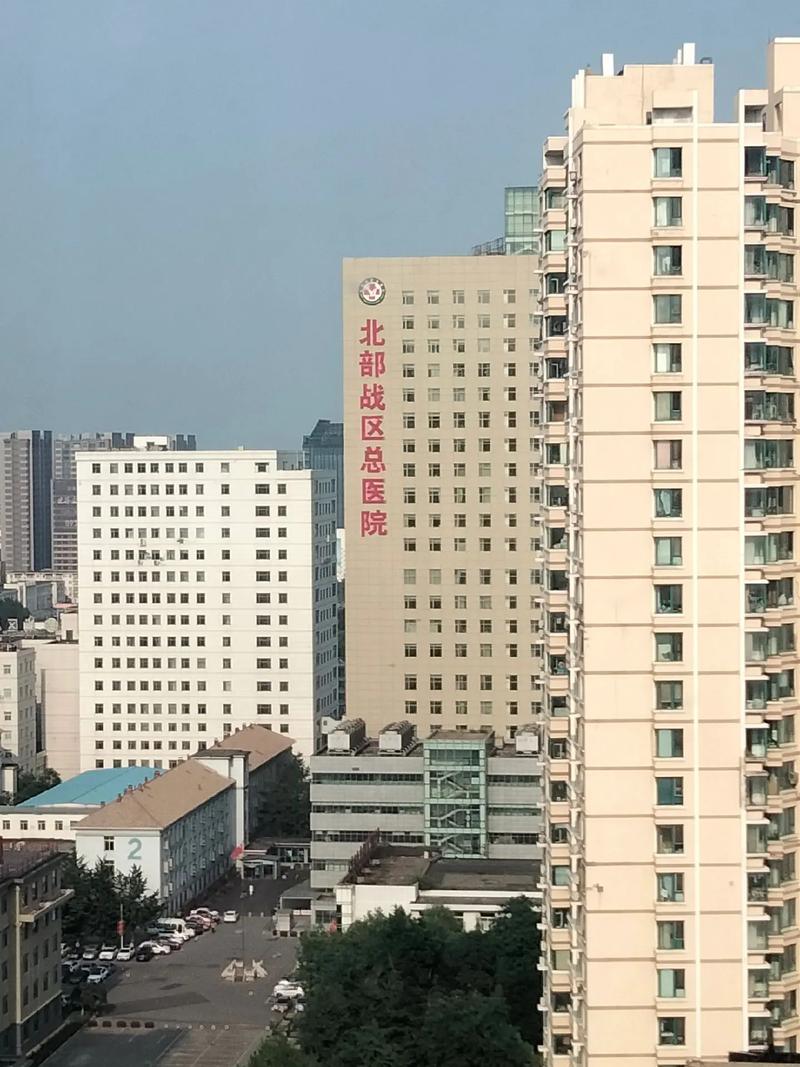 总院