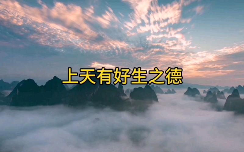 好生之真意