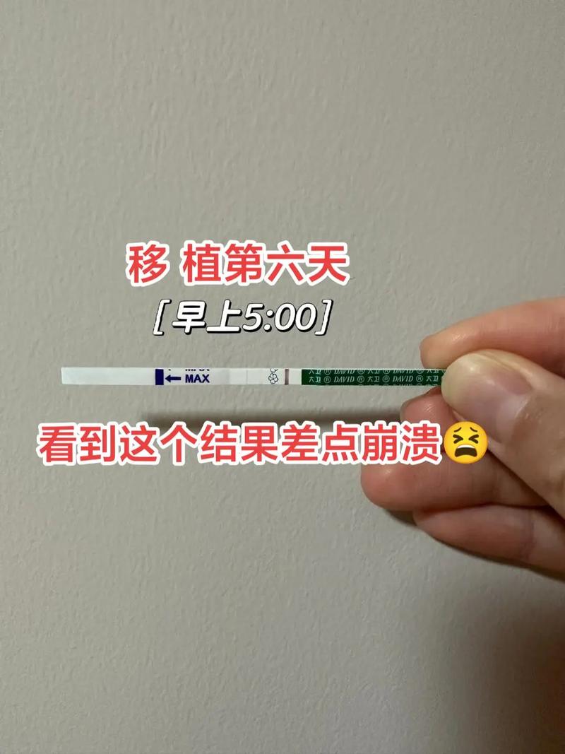 移植6天