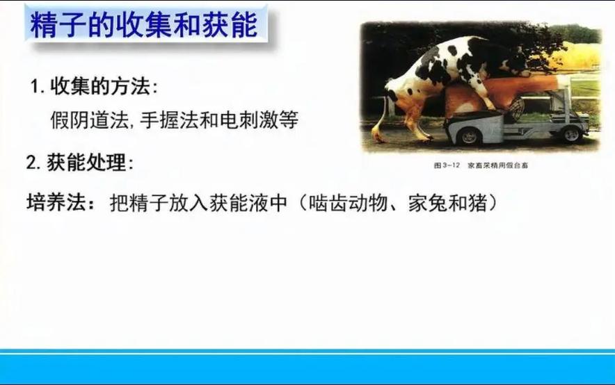  电刺激法