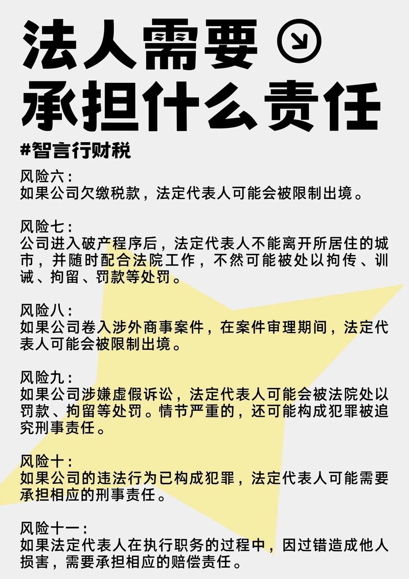  法律责任