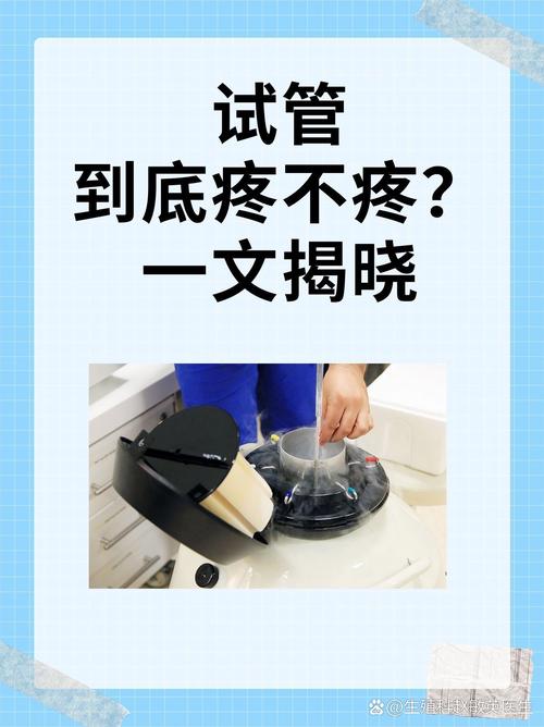 生殖技术
【描述】：本文深入探讨了试管婴儿技术的核心原理、影响因素以及对家庭和社会的影响，旨在增进公众对这一技术的了解。