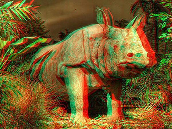 3D 视频