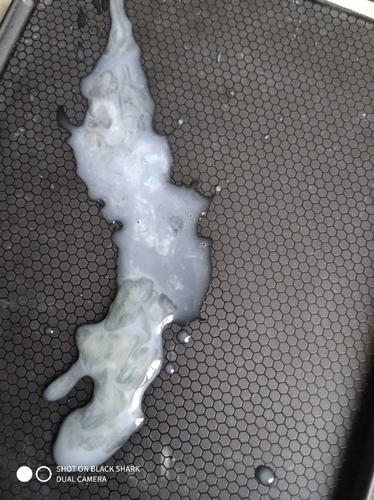  精液污染