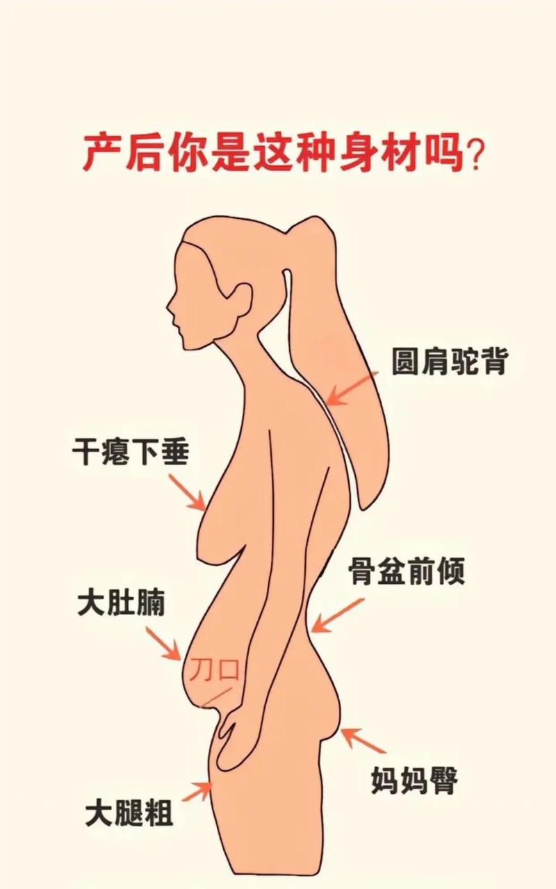 恢复身材
