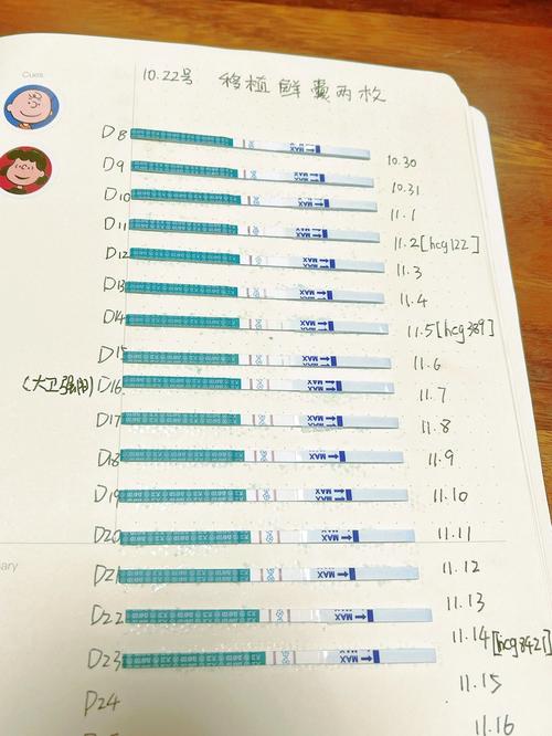移植后32天