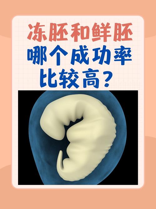 冻胚优势