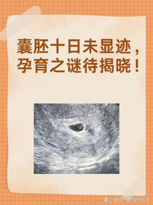 囊胚无法形成