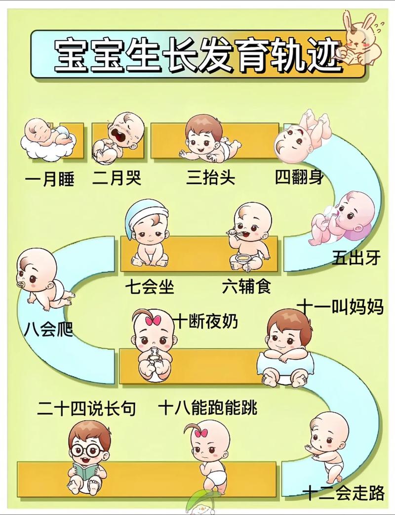 成长历程