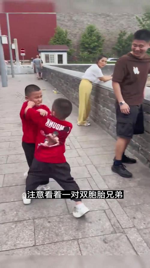 双胞胎打架