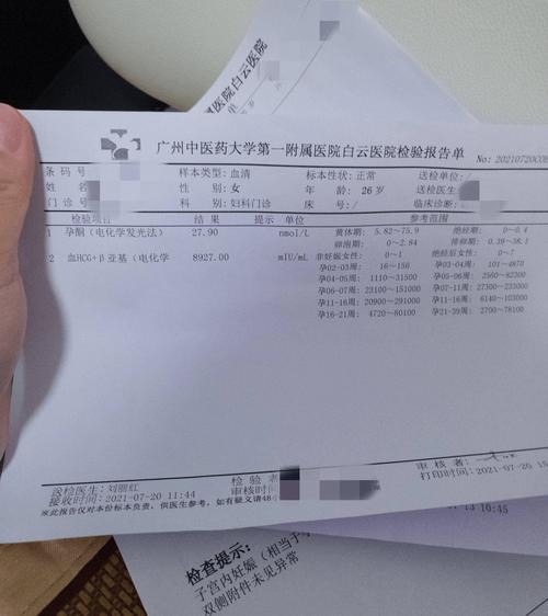 B超取卵