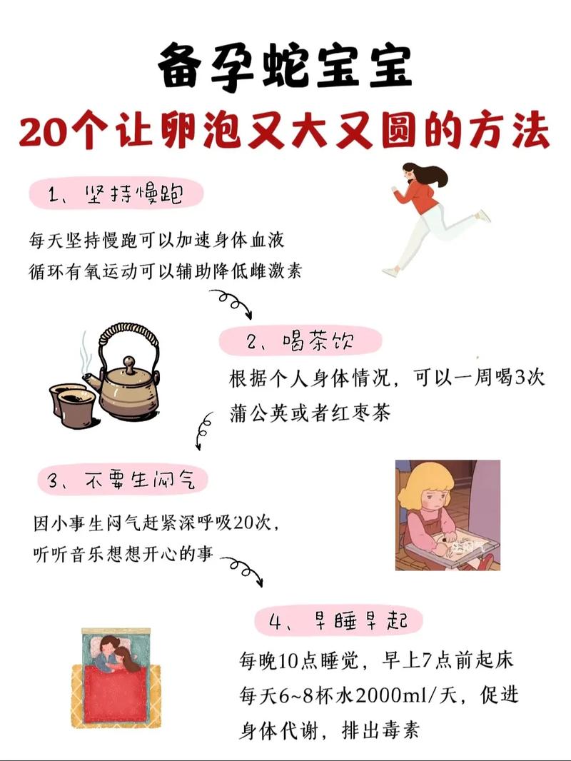 卵泡调理