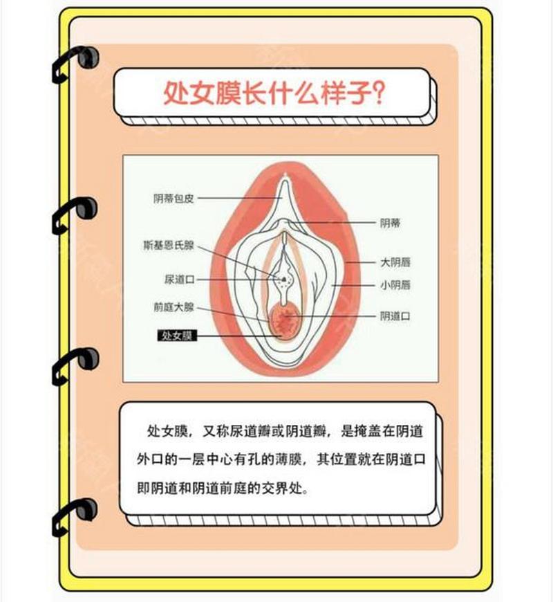 破CN膜