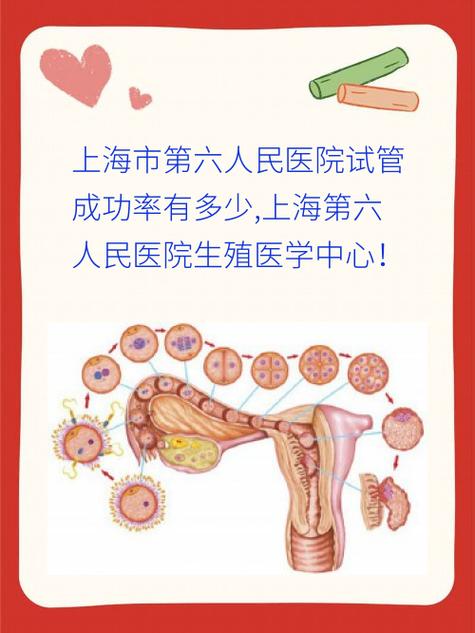 生殖医疗
描述: 本文详细解析上海瑞金试管婴儿成功率，通过不同年龄段成功率数据说明年龄的关键影响，还阐述子宫环境、胚胎质量、精子质量及心理状态等因素对成功率的作用，助患者了解相关知识。