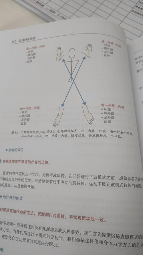 垂体降调技术