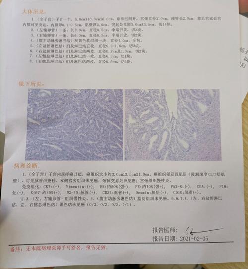 手术后病理缺失