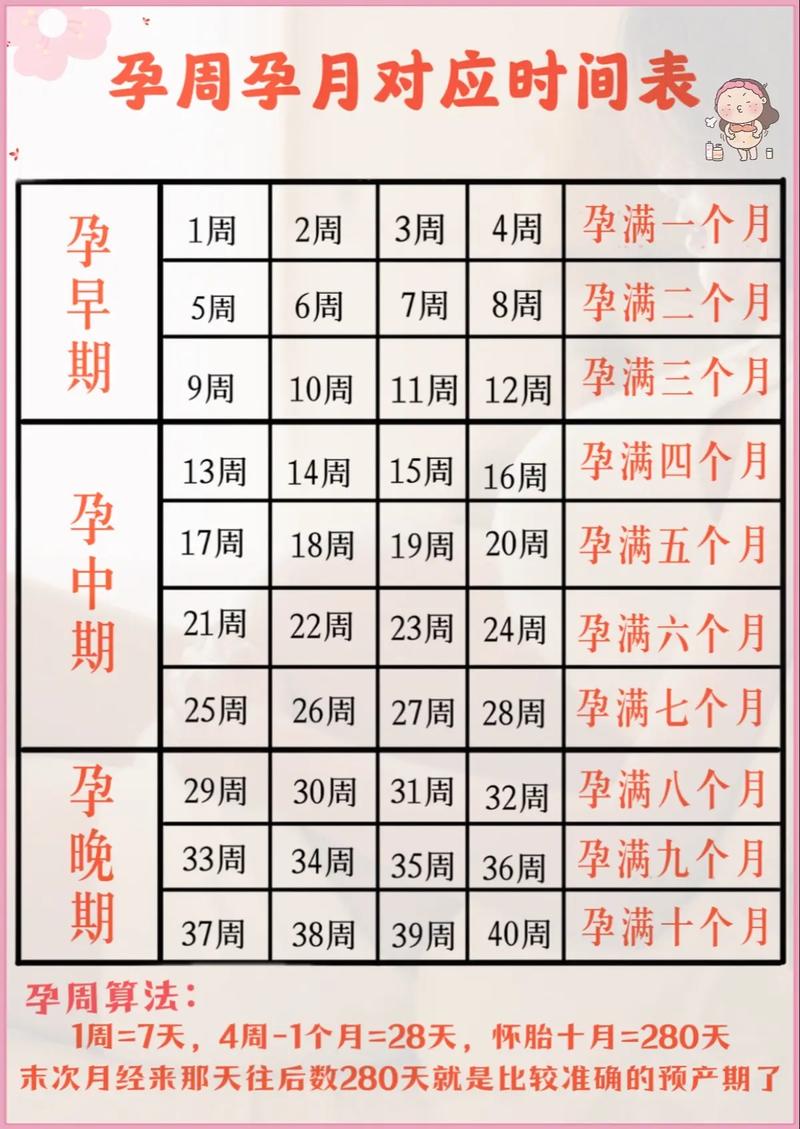 妊娠时长
