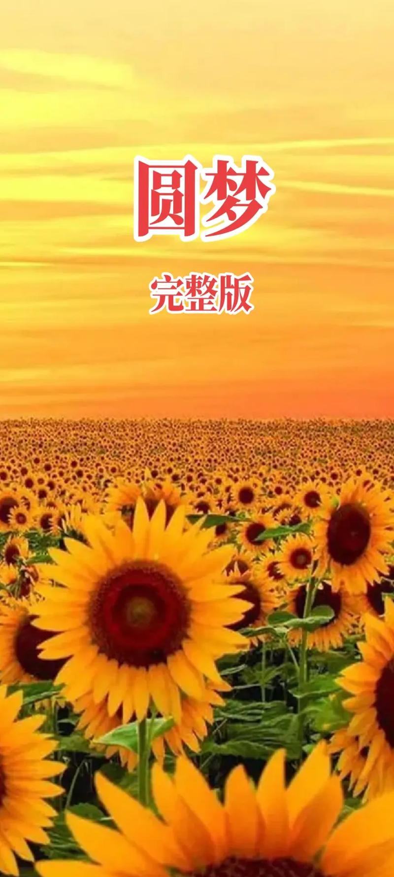  圆梦