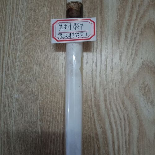 试管培育