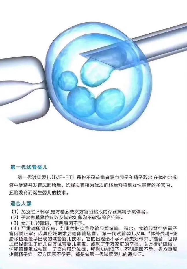试管婴儿发展
描述: 本文探讨了第三代试管婴儿的智力问题，分析遗传与后天环境对其智力的影响，并结合案例与数据说明。同时从发展角度阐述该技术的进步与局限，倡导以科学包容态度看待此项技术及相关孩子。
