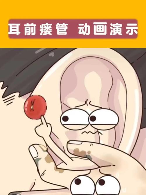 动画演示