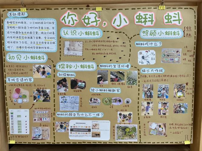 小蝌蚪

您好