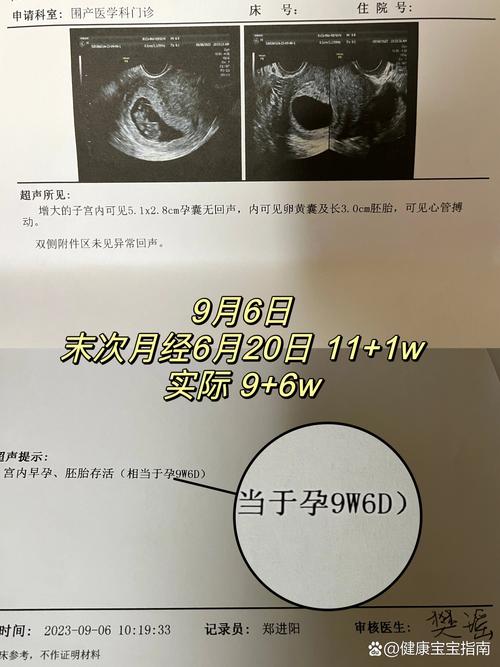 怀孕11周