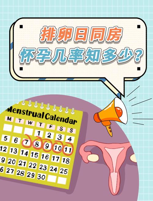 怀孕成功率

好的