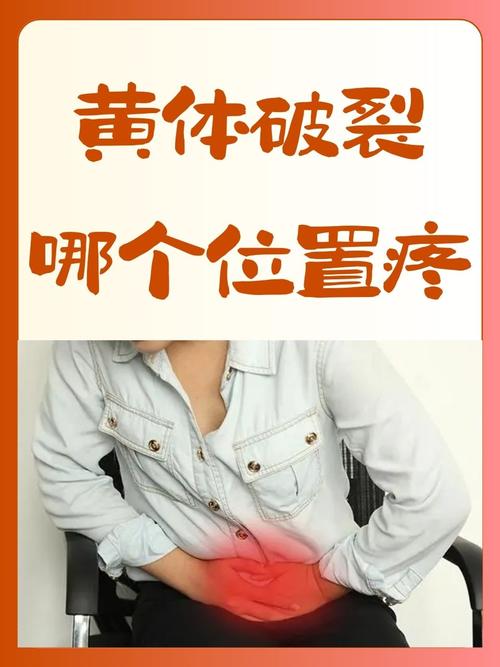 卵巢损伤