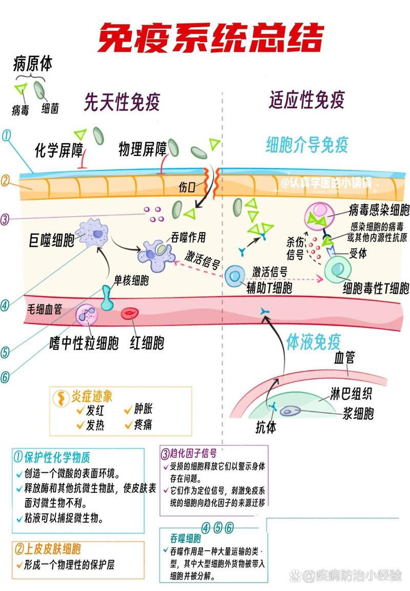  生殖免疫