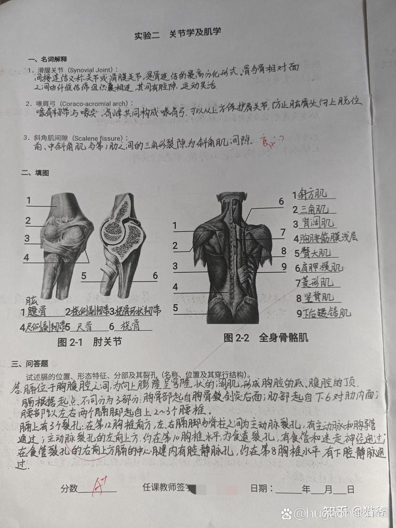 解剖成功率