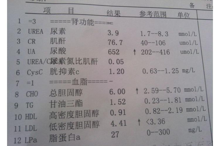 肾功能检查