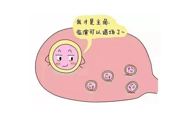 空卵泡综合征