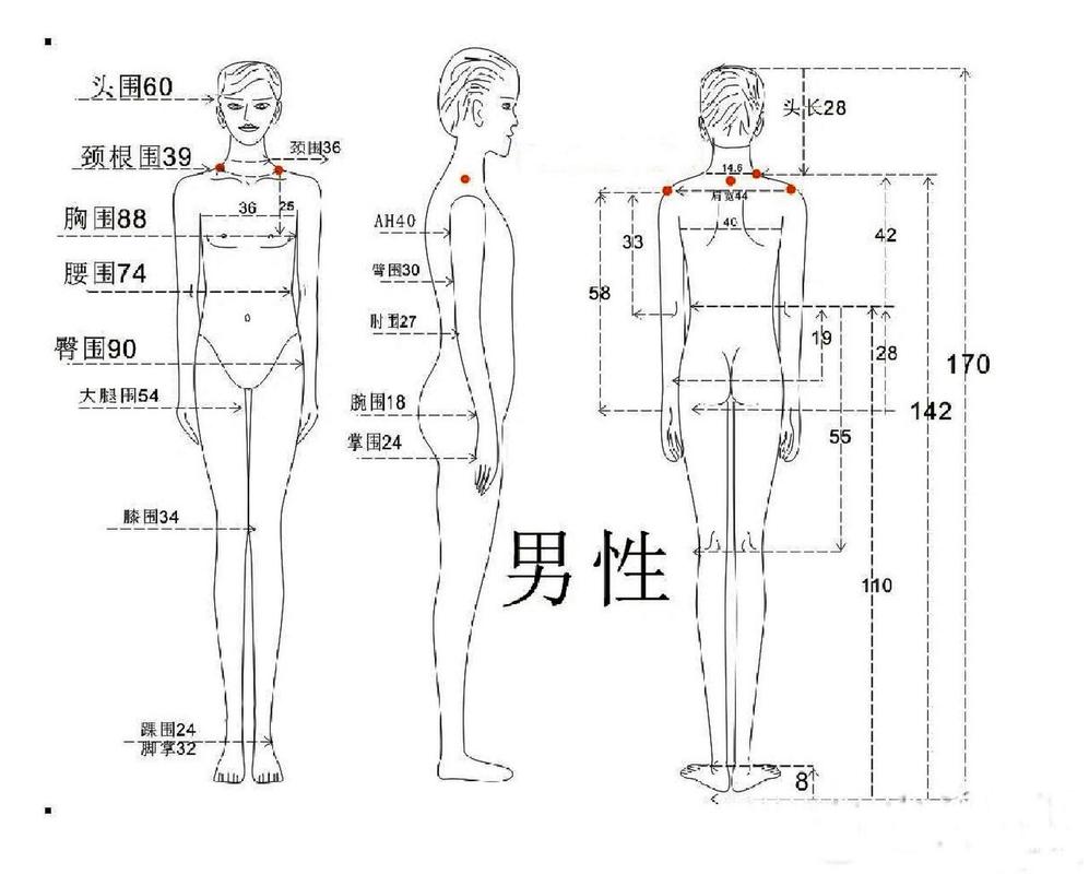  男性身体要求