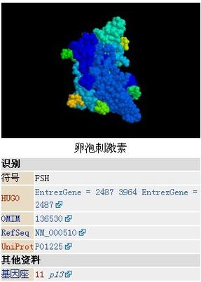 促卵泡刺激素