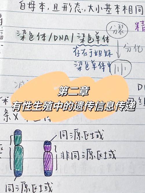 生殖遗传