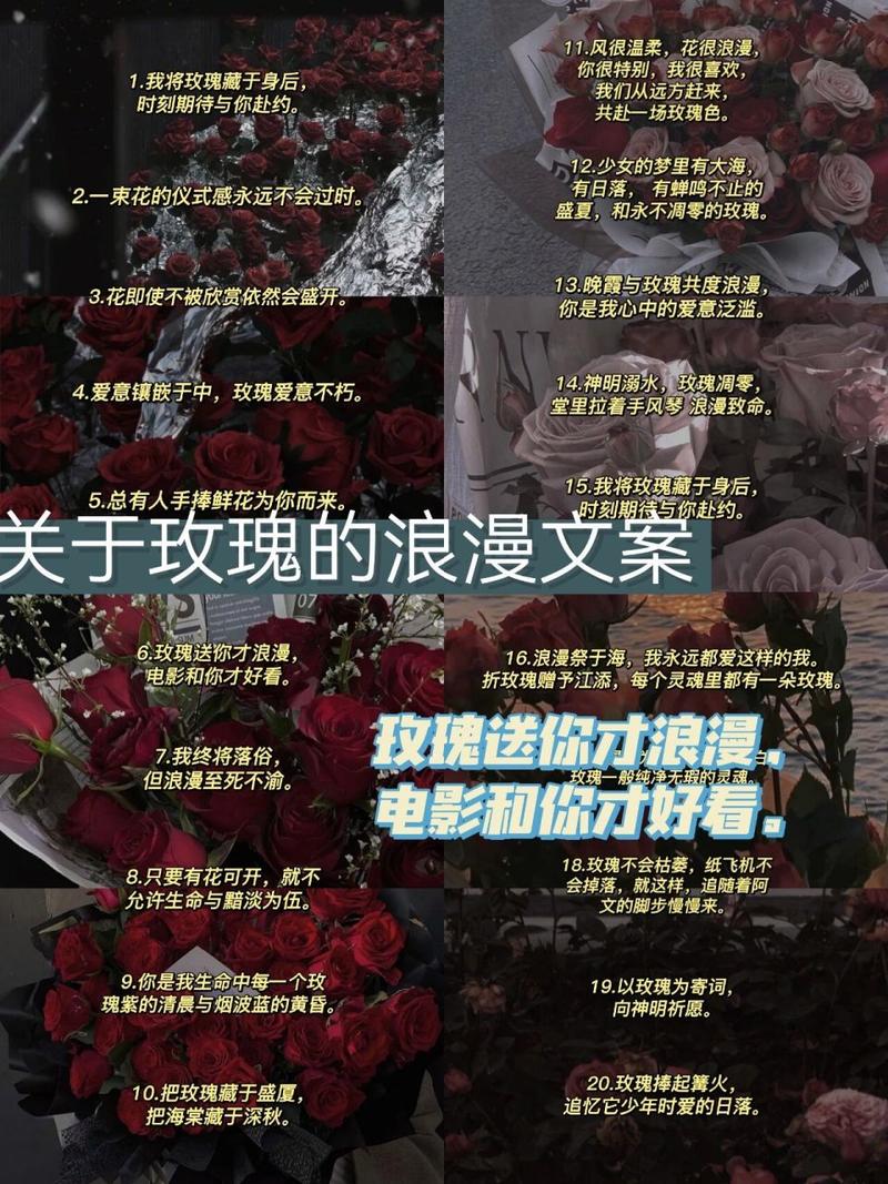 我将根据您提供的文案