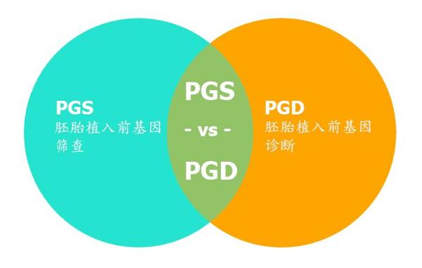  PGS技术