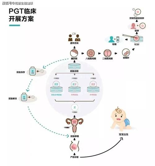 生殖技术优势