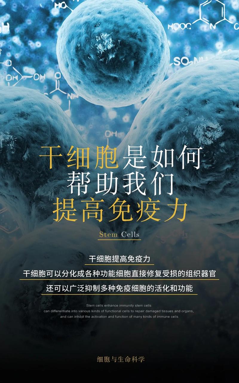  干细胞
