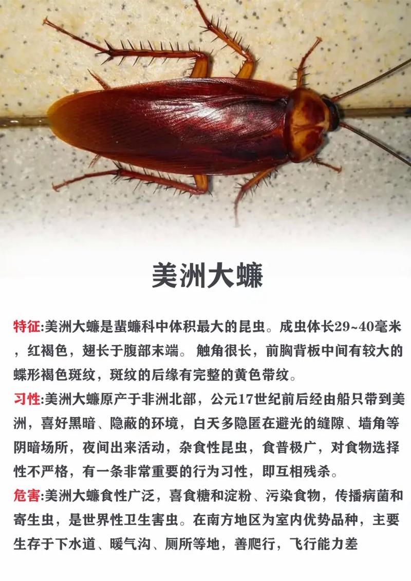 有害