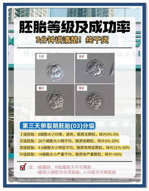 胚胎优劣